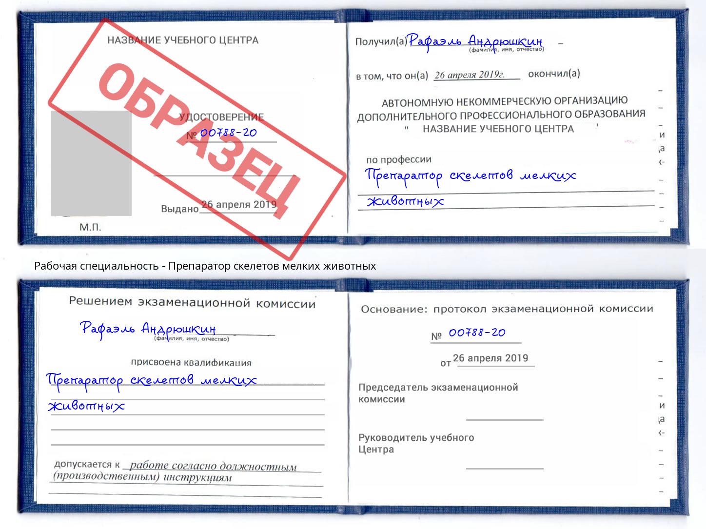 Препаратор скелетов мелких животных Пыть-Ях