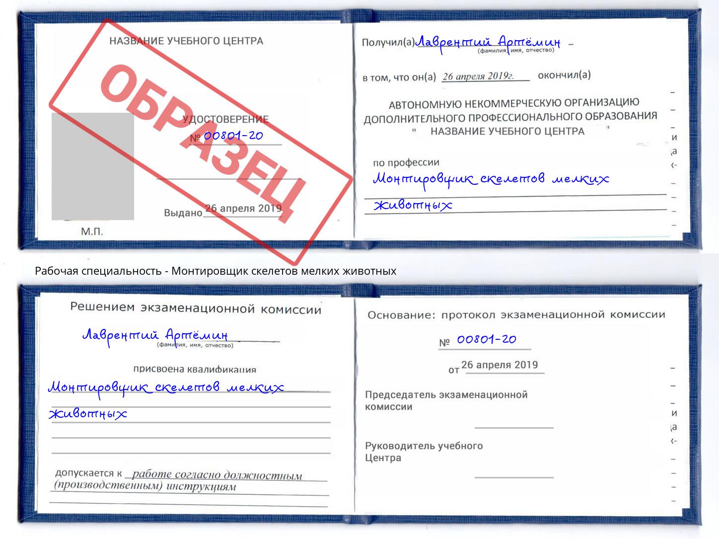 Монтировщик скелетов мелких животных Пыть-Ях
