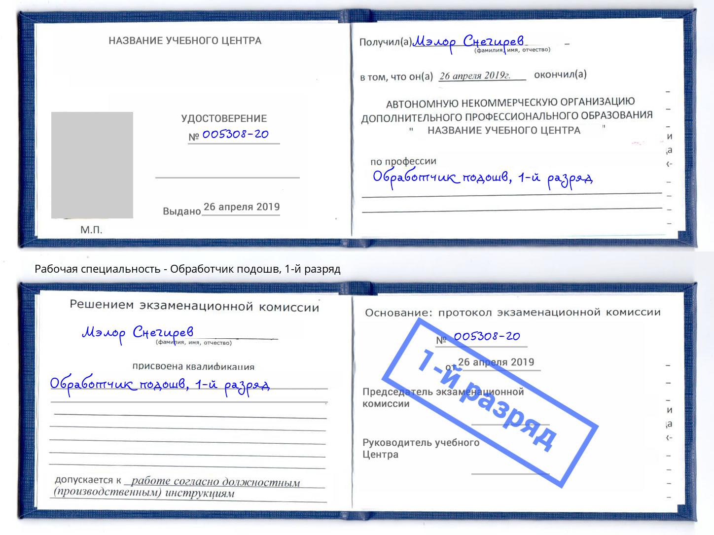 корочка 1-й разряд Обработчик подошв Пыть-Ях